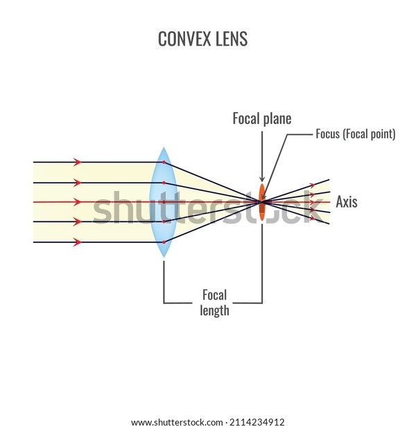 Convex and concave lens\
vector illustration diagrams. Labeled scheme with light ray\
direction and bending through lens.Physics illustration of\
Converging and Diverging\
Lens.