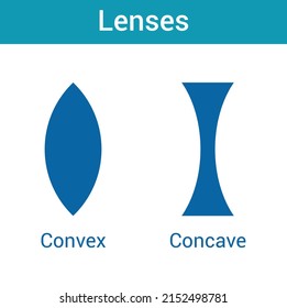 convex and concave lenses in physics. Vector illustration on white background