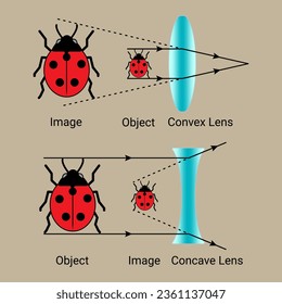 Convex Lens and Concave Lens. Object and Image