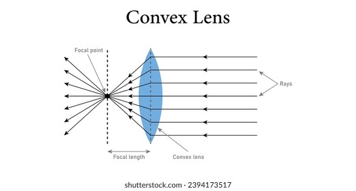 Convex lens diagram. Incident and refracted ray. Beam of light through converging lenses. Scientific resources for teachers and students.