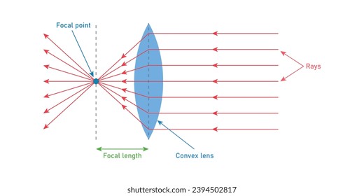 Convex lens diagram. Incident and refracted ray. Beam of light through converging lenses. Scientific resources for teachers and students.