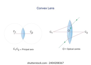 Convex lens. Principal axix and optical centre. Optics. Physics vector illustration.