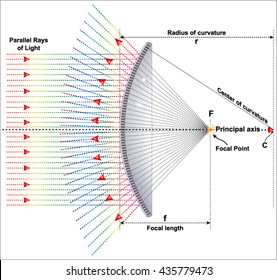 Convex mirror