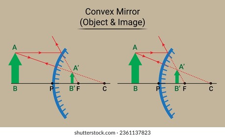Spiegelobjekt und Bild von Convex