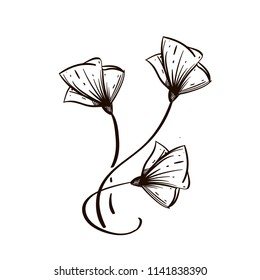 Convolvulus flower. Decorative floral element for greeting cards, invitations and much more. Vector illustration isolated on white background.