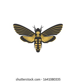 The Convolvulus Hawk Moth Vector Simple Illustration, Butterfly Template Vector