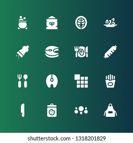 cook icon set. Collection of 16 filled cook icons included Apron, Fried chicken, Cookies, Knife, Fries, Menu, Salmon, Cutlery, Sausage, Dinner, Salt, Salad, Flour, Pot