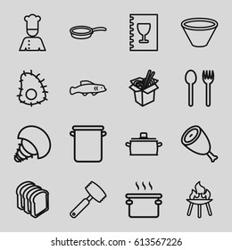 Cook icons set. set of 16 cook outline icons such as beef, noodles fast food, bread slices, chef, menu, bowl, pan, knife, bbq, extinct sea creature, extinct fish