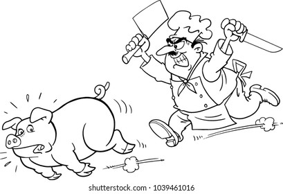 cook and pig