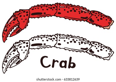 Cooked boiled crab hand with claw in scales with meat. Hand drawn isolated illustration set with the inscription on a white background