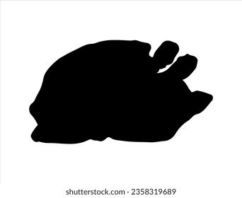Silueta de pollo cocido vectorial arte fondo blanco