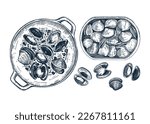 Cooked clams with herbs on plate illustration. Shellfish and seafood restaurant design element. Hand drawn canned clams in tin can sketch isolated on white background. For menu, recipes, packaging