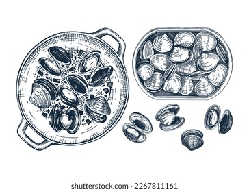 Cooked clams with herbs on plate illustration. Shellfish and seafood restaurant design element. Hand drawn canned clams in tin can sketch isolated on white background. For menu, recipes, packaging