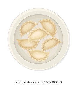 Cooked Dumplings Served on Ceramic Plate Top View Vector Illustration