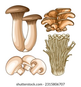 COOKED AND EDIBLE MUSHROOM COLLECTIONS