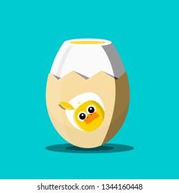 Cooked Egg with Chicken on Eggshell