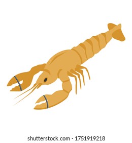 Cooked lobster icon. Isometric of cooked lobster vector icon for web design isolated on white background