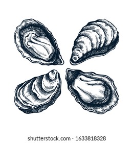 Cooked oysters illustrations set. Shellfish and seafood restaurant design element. Hand drawn oyster shells sketch isolated on white background. For menu, recipes, logos, flyer or invitation.