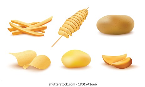 Cooked potato snacks set - fry sticks and chips, slice, wedges and baked potatoes. Icons for fast food menu, poster or web. Vector realistic 3d isolated illustrations.