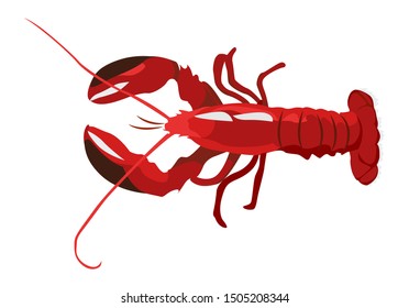 Cooked red lobster icon isolated on white background, fresh healthy seafood, vector illustration