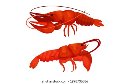 Cooked Red Lobster as Large Marine Crustacean with Muscular Tail and Claw Pair Vector Set