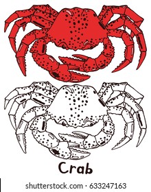 Cooked sea crab in a shell with claws. Hand drawn isolated illustration with the inscription on a white background