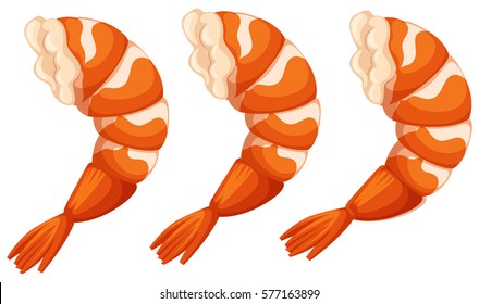 Cooked shirmp on white background illustration