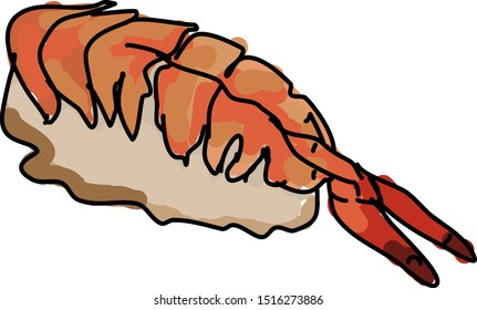 Cooked shrimp, illustration, vector on white background.