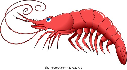 Cooked shrimp isolated on white photo-realistic vector illustration