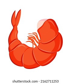 Cooked shrimp Seafood icon. Vector illustration