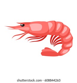 Cooked tiger shrimp. Isolated illustration of seafood on white background.