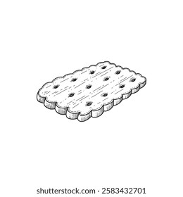 Cookie and biscuit doodle. Desserts, pastry, crackers, chocolate chip cookies in sketch style. Hand drawn vector illustration isolated on white background for your design