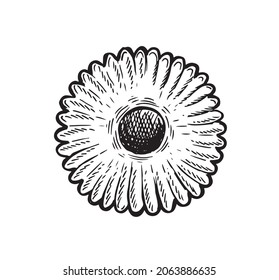 Cookie hand drawn illustration. Vector.