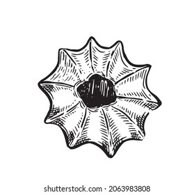 Cookie hand drawn illustration. Vector.