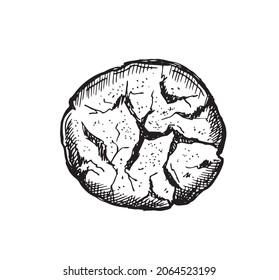 Ilustración dibujada a mano por cookies. Vector.