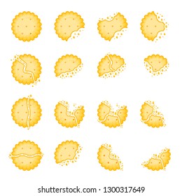 Cookie set. Sweet biscuit with crush fragments. Flat cracker vector illustration isolated on white background 