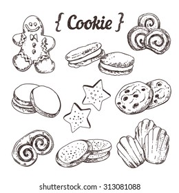 Cookie and sweet pastry hand sketched illustration vector