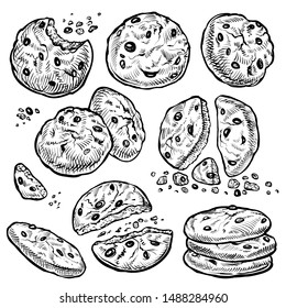 Cookie vector hand drawn illustration. Round chocolate chip cookies with crumbs, bitten and whole. Homemade biscuits.