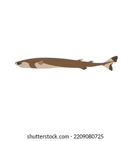 The cookiecutter shark, Isistius brasiliensis is also known as the cigar shark. 