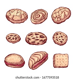 Cookies. Biscuits isolate in white background. Cake on the white background. Hand-drawn style.