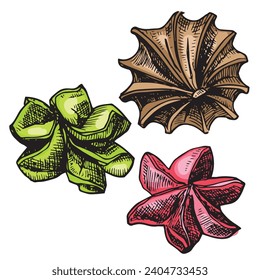 Cookies isolated. Vector realistic set of different chocolate and biscuit chip cookie. Top view engraving style cute delicious pastries on white background. 