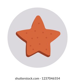cookies   star  biscuit  