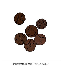 ilustración del dibujo de la mano vectorial de cookies aislada en fondo blanco, ilustración del vector de cookies