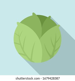 Cooking cabbage icon. Flat illustration of cooking cabbage vector icon for web design