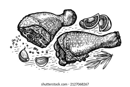 Cooking chicken legs. Poultry meat sketch vector illustration