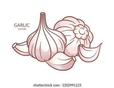 fondo blanco del grupo de ajo de cocina