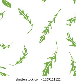 Cooking herbs Arugula Seamless pattern Hand drawing