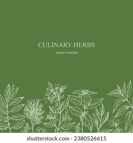 Cooking Herbs card template background for text hand drawn sketch vector illustration. Design backdrop with aromatic culinary herbs, dill, sage, bay leaf, mint, rosemary, basil, oregano 