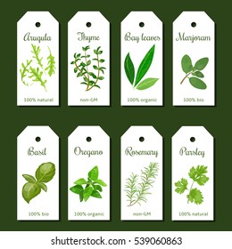 Cooking herbs tags. Cute label set. Culinary herbs. Bunch of seasonings. For cosmetics, organic market, farm products, health care products. Can be used as logo, price tag, label