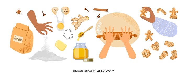 Cooking homemade traditional gingerbread cookies. Human hands cooking food, ingredients, gingerbread. Vector illustration isolated on white background. Bakery process Kitchenware, cooking utensil